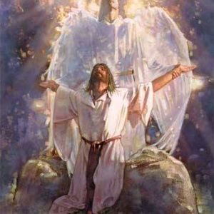 Meet your Posher, Wanda